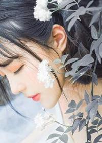 傅总又在求夫人复婚了小说