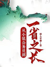 官场：从小镇公务员到一省之长